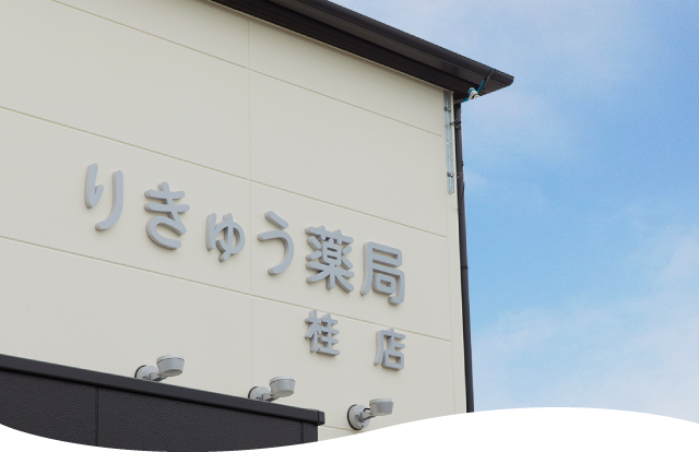 COMPANY 会社案内